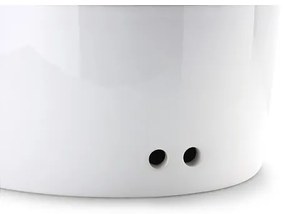 Cutie de pâine 27x20x13,5 cm ficus de cauciuc Continenta C3931