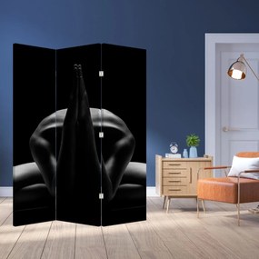 Paravan - Nud feminin (126x170 cm)