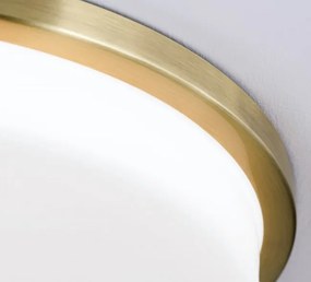 Plafoniera LED moderna LEROX 40cm alama antique