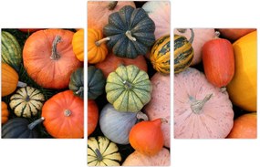 Tablou - Dovleac (90x60 cm)