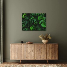 Tablou cu frunze Monstery (70x50 cm)