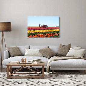 Tablou cu farma de lalele (90x60 cm)