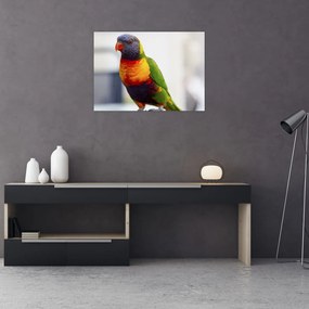 Tablou cu papagal (70x50 cm), în 40 de alte dimensiuni noi