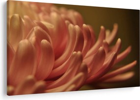 Tablou cu detailu florii (90x60 cm)