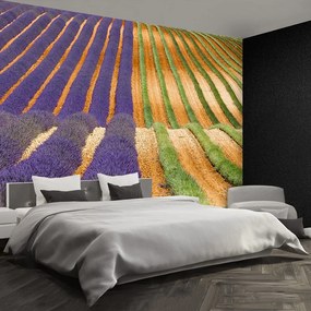 Fototapet Provence Franța
