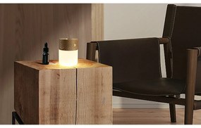 Difuzor de parfum electric Smart – Gingko