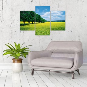 Tablou - Câmp cu alei (90x60 cm)