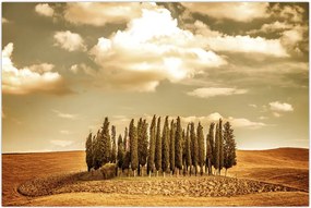 Tablou cu luncă (90x60 cm)