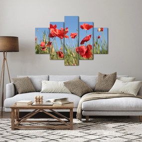 Tablou - Maci (150x105 cm)