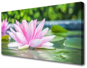 Tablou pe panza canvas Water Flower Art Roz Verde