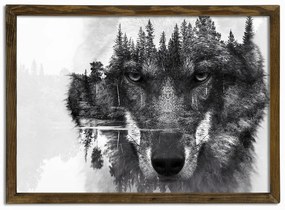 Tablou Husky, 70 x 50 cm