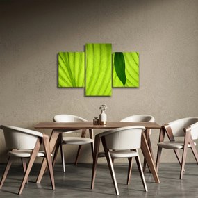 Tablou - Detaliu de frunză verde (90x60 cm)