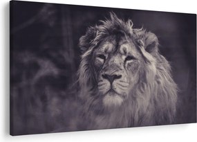 Tablou cu leu (90x60 cm)