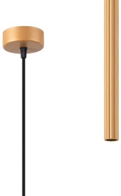 Lustră pe cablu Sollux SL.1339 ARCHE 1xG9/8W/230V auriu