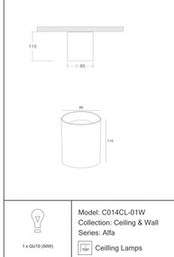 Spot aplicat de tavan/plafon Alfa MYC014CL-01W