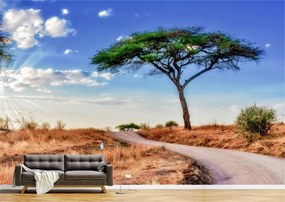 Tapet Premium Canvas - Copacul singuratic din savana