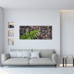 Tablou  cu planta verde (120x50 cm), în 40 de alte dimensiuni noi