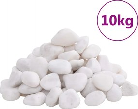 vidaXL Pietricele lustruite, 10 kg, alb, 2-5 cm