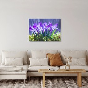 Tablou pe sticlă cuflori în ploaie (70x50 cm)