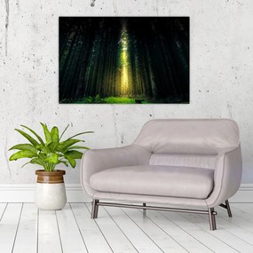 Tablou cu pădurea întunecată (90x60 cm)