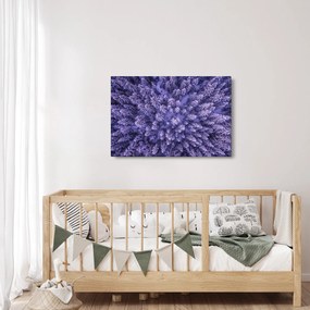 Tablou cu copacii înzăpeziți (90x60 cm)