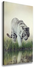 Tablou pe pânză canvas Tigru alb