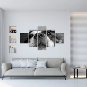 Tablou cu câine (125x70 cm), în 40 de alte dimensiuni noi