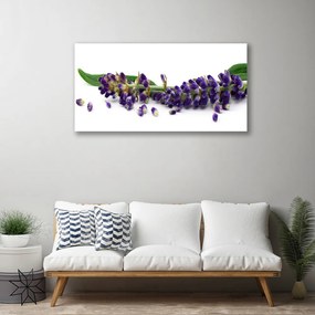 Tablou pe panza canvas Petale Floral Verde Violet