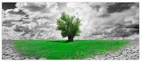 Tablou - O bucată de natură în oraș (120x50 cm)