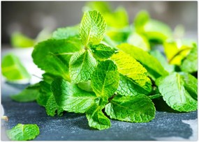 Tablou metnă (70x50 cm)