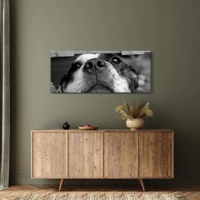 Tablou cu câine (120x50 cm)