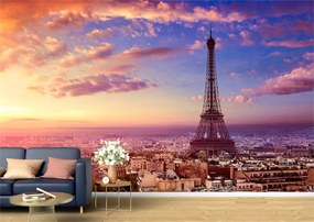 Tapet Premium Canvas - Apus la Paris