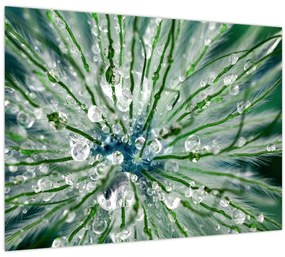 Tablou pe sticlă - Imagine macro a unei flori (70x50 cm)