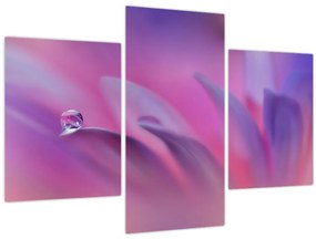 Tablou - Picătură pe floare (90x60 cm)