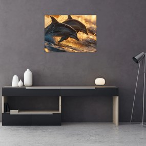 Tablou pe sticlă - Delfinii (70x50 cm)
