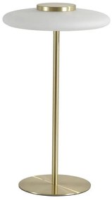 Veioza/Lampa de masa LED decorativa Record