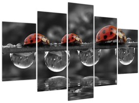 Tablou - Floarea-soarelui, alb și negru (150x105 cm)