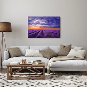 Tablou câmpului cu lavandă (90x60 cm)