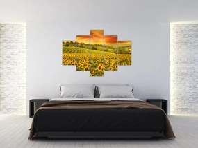 Tablou - Câmp de floarea-soarelui (150x105 cm)