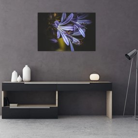 Tablou - Lila (90x60 cm)