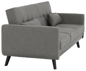 Zondo Canapea Alestra (gri). 809599