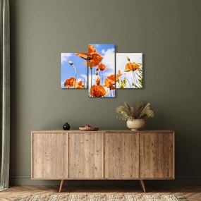 Tablou cu macii (90x60 cm)