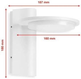 Aplică LED de exterior LED/10W/230V IP44 Telefunken 312406TF