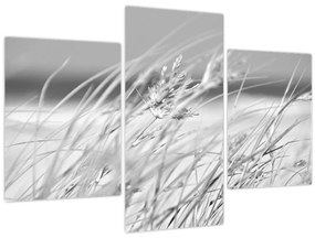 Tablou - Iarbă de plajă (90x60 cm)