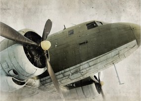 Tablou - Avion vechi cu elice (70x50 cm)