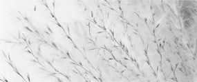 Tablou - Iarbă de pampas N⁰2 (120x50 cm)