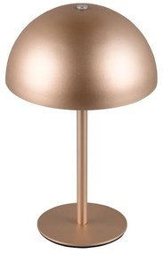 Veioză bronz LED cu abajur din metal (înălțime 21 cm) Munoz – Trio