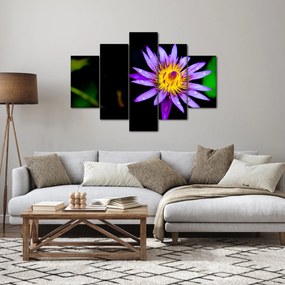 Tablou cu floare (150x105 cm)