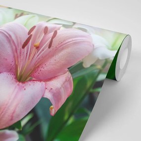 Fototapet crin roz în floare