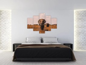Tablou - Venirea elefantului (150x105 cm)